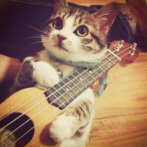 欧美国产精品久久
